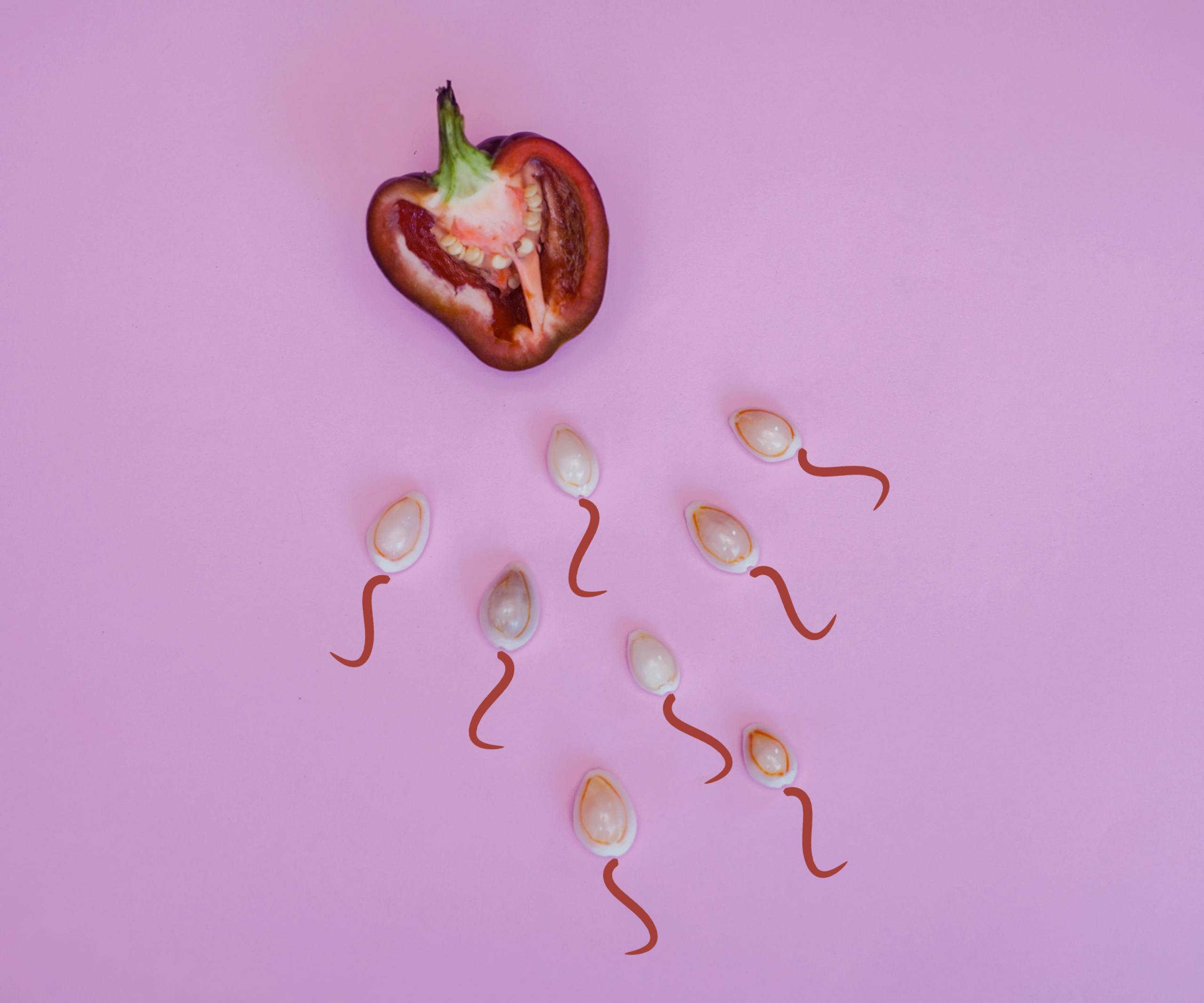 Artistic representation of fertility with seeds resembling sperm and a red pepper on pink background.